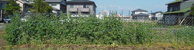 DSCN0647.JPG